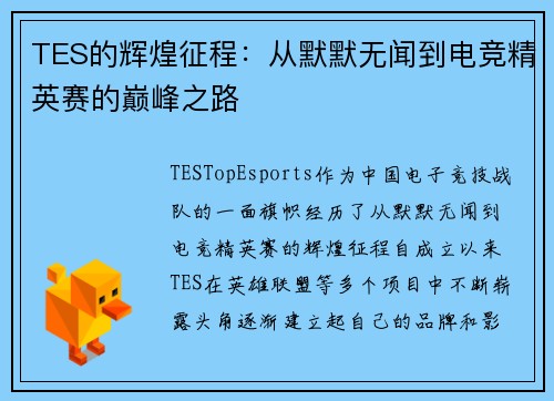 TES的辉煌征程：从默默无闻到电竞精英赛的巅峰之路